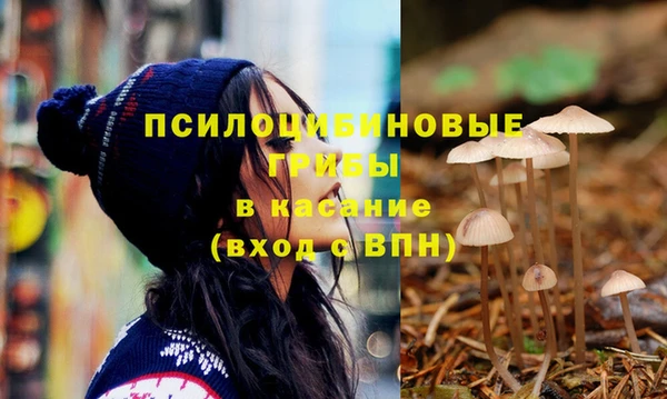 дурь Абаза