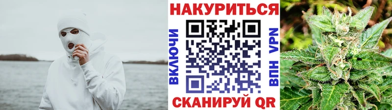 Конопля сатива Отрадное
